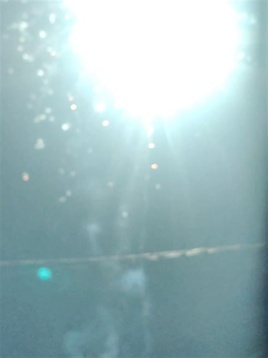 Videos de alii (@alidecort) con “sonido original - ㅤ”