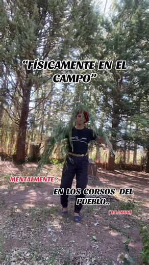 #n11ema #corso #carnaval #parati #humor