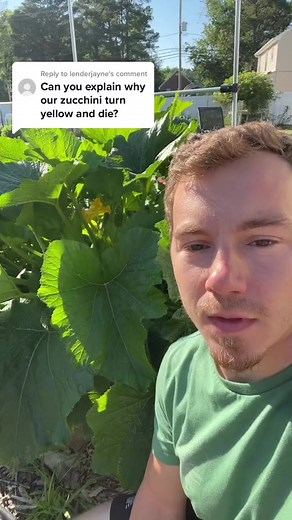 3K views · 61 reactions | Reply to @lenderjayne great Question! What...