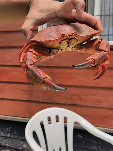 Robotech: La Invasión Invid y Música de los 80