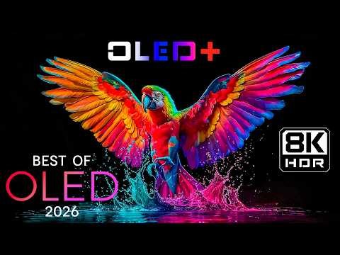 BEST OF OLED – Ultra Real 8K OLED Visuals | HDR 120FPS | Dolby Vision™