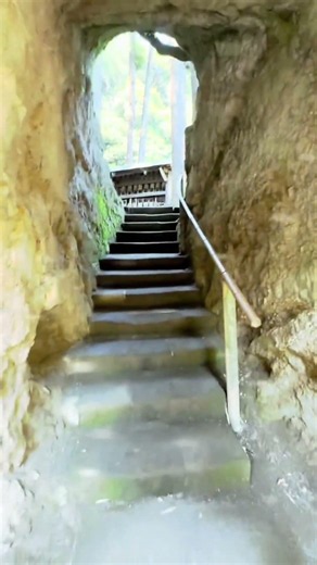 洞窟の奥で見つけた“その先の世界”――。出口か、新たな冒険の始まりか？タツボーチャンネル特別編、未知への探検へ出発！ #洞窟探検 #冒険 #癒し動画 #ポメラニアン #癒し #散歩 #ハチ公前広場