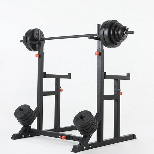 [Hot Item] Guli Fitness Squat Rack with Integrated DIP Stand for Weightlifting