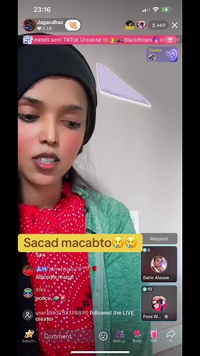 Engaging Live Stream with Diverse Audience Reactions