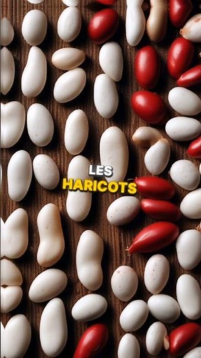 les bienfaits des haricots pour notre santé.