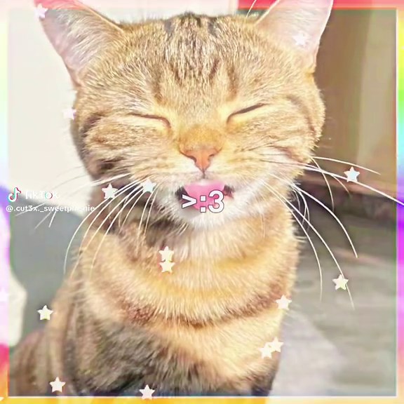 Cute CapCut Edits for Fun Lovers