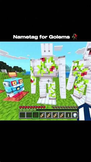 Minecraft nametag moment