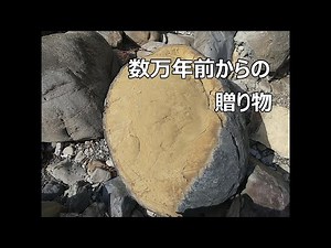 【鉱物採集】この時期は川が熱い（前編）巨大ノジュール