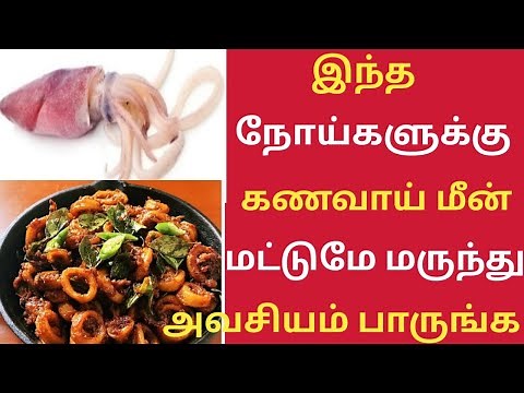 கணவாய் மீனின் ரகசியம் தெரியுமா!/Health Benefits of Squid in Tamil/Kanava Meen/Health Tips/Squid Fish