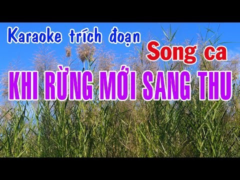 Karaoke Trích đoạn KHI RỪNG MỚI SANG THU - SONG CA (Rất hay)