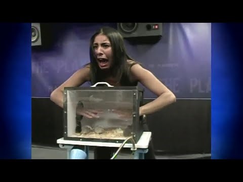 Funniest News Bloopers Ever Caught On Camera!