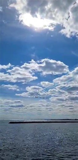 Snowbirds at the Toronto Airshow #cias2025