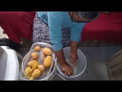 Cómo HACER PAPA SECA en CASA - Aprendiendo con EDITH :D