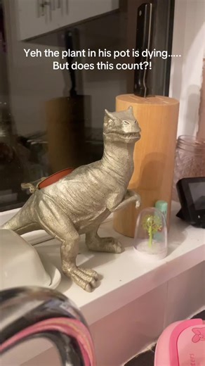 Contemplating Art and Nature: A Bird in the Kitchen