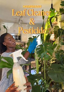 Homemade Neem Leaf Cleaner Spray — Easy Plant Juice Recipe