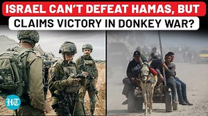 12K views · 266 reactions | ️ Israel looting Gaza's livestock? In a controversial move, hundreds of donkeys were seized in what experts are calling a new level of collective punishment #GazaAid #GazaStarving #GazaStarvation #LivestockFarming | Hindustan Times | Facebook