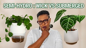 Choose your semi hydroponic system: wick or submerged