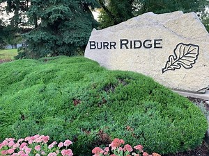 Burr Ridge Police Official Demoted After Arrest: Village