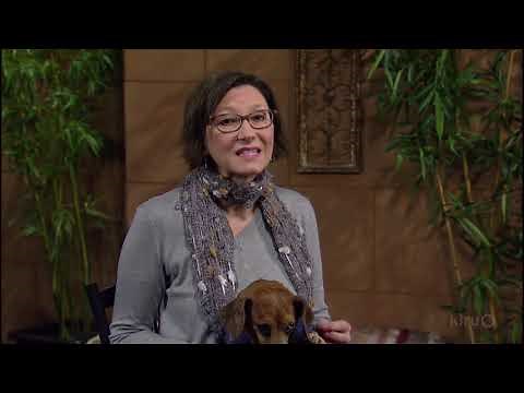 Why New Leaves on Roses Red? |Daphne Richards |Central Texas Gardener