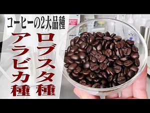 【コーヒー解説＆実践】アラビカ種とロブスタ種の違いを解説！自家焙煎で味と香りを確かめてみた