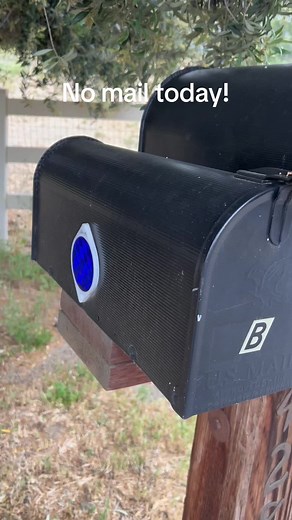 No mail today! A mailbox full of pincher bugs, jumping out when I open the door! Tis the seasom! #bugs #pincherbugs #wildlife #ohno #buginfestation #pestcontrol #bugsoftiktok