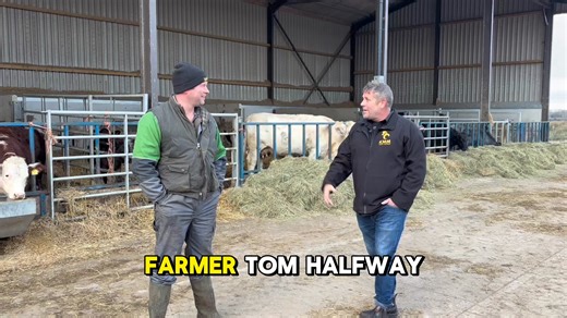 Turning fields into financial fuel⚡ We built a working power station...