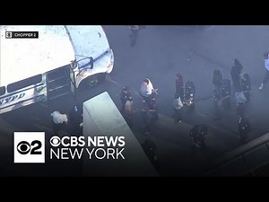 New York officials among protesters arrested at anti-ICE demonstration