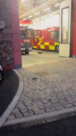 Echo 341 Responds on New Year's Eve