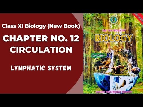 Ch 12 Circulation | Lymphatic system | Class 11 biology new book | Sindh board