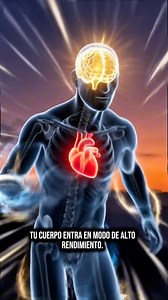 Sabías que debes dolor Tomar hasta 2 tazas al día de café, ya que el exceso puede afectar tu cuerpo #cafe #cerebro #corazon | Neiver pantoja1