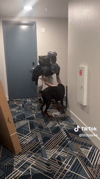 Excited Dog Welcomes Dad Home | Heartwarming Reunion