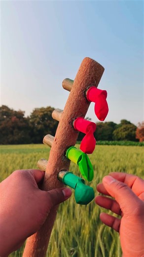 Unlocking the Secret Power of Bamboo!
