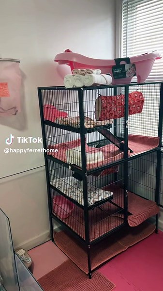 Tomorrow is the day!! Final Enclosure Tour!! #ferretsoftiktok#ferret#cagetour#cagesetup#ferretlover#ferrettok#ferretmom#ferretlife