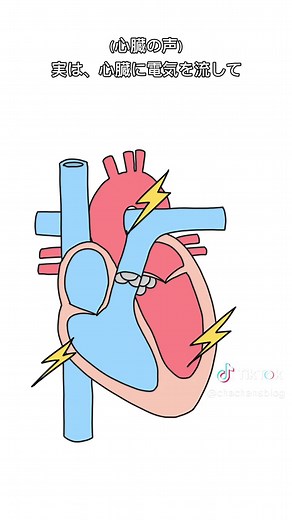 【インスタ本文に豆知識あるよ】 今までの動画はプロフィールからみてね！ リクエストはコメントかDMで❣️ ⁡ ⁡ 今回は 【心臓を動かす！刺激伝導系】 でした！ ⁡ 心臓を動かすには電気を流して、その刺激で筋肉を収縮させてるよ。 ⁡ 心房→心室の順番で収縮して、ポンプのように「血液を溜めて、出す、溜めて、出す」を繰り返してる！ ⁡ 洞房結節（発電所） ↓ 房室結節（中継所） ↓ ヒス束 ↓ 右脚・左脚 ↓ プルキンエ線維 ⁡ の順番で上から下に、心臓全体に電気を流してる！ ⁡ Instagramの方には、刺激伝導系の正体が何か書いてるよ😆 よかったら見てみてね！ ⁡ #看護師 #看護学生 #解剖学 #解剖生理学 #看護師の勉強垢 #ナースの勉強垢 #看護学生の勉強垢 #循環器 #心臓 #刺激伝導系 #楽しく学ぶ