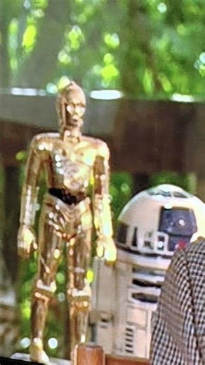 C3P0 and R2-D2 from the Empire of Dreams dvd 😏