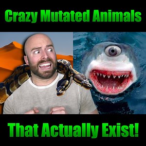 438K views · 2.8K shares | Matthew Santoro on Reels | Facebook