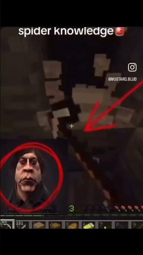 Anton Expresses his spider knowledge #funny #memes #funnymemes #minecraft #anton