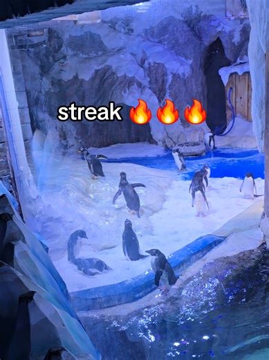 hey,api 🔥 api🔥#api #streak #xh