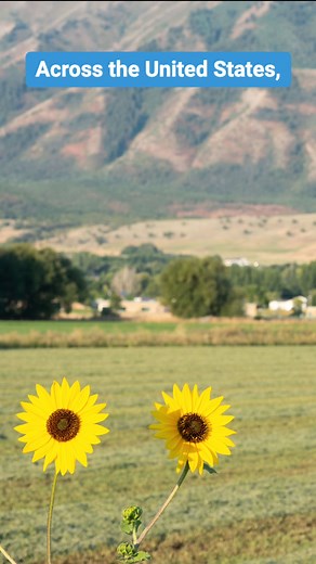 13 reactions | Data is the lifeblood of public health. But across the...