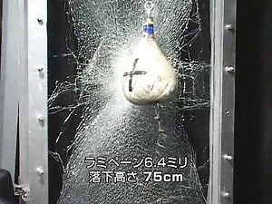 【日本板硝子公式】ガラスの破壊実験（ショットバック試験）対象：合わせガラス（フロート板ガラス3ミリ＋中間膜15ミル＋フロート板ガラス3ミリ）高さ：75㎝