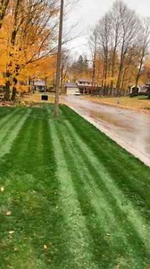 Transform Your Turf: Expert Lawn Skills Made Easy