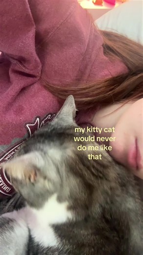 Understanding Kitty Behavior: Why Cats Do That