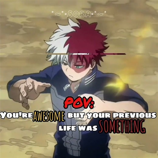 Never thought I would make mha×atla edit (poor edit)#anime#cartoon#mha#atla#shoto#zuko#trending#fyp