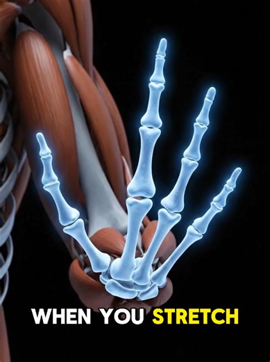 What happens inside your finger when you crack it?#nutritiontips #foryou #foryoupage #healthfacts #health