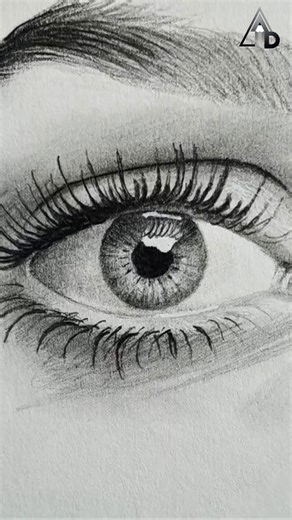 Draw Realistic Eye 😳 Graphite Pencil Drawing #drawing #pencildrawing #shortsfeed