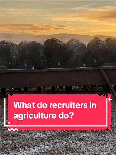 Hi, we’re Talent Solutions! We help ranches, farms, and agriculture businesses across the country find great people. With years of hands-on experience in the cattle industry, we bring real industry knowledge into every search. If you’re looking for a job or planning to hire in 2026, let’s talk. #ranching #farming #jobs #hiring #agribusiness
