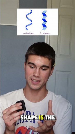 Primary & Secondary Structures of Proteins #science #protein #proteinstructure #macromolecules