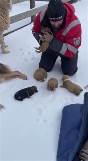 Caught on Camera: Incredible Rescue During Heavy Snowfall #Rescue #RealRescue #RescueTeam #Emergency