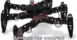 Six-legged robot loses a leg, thinks about it, trundles on regardless