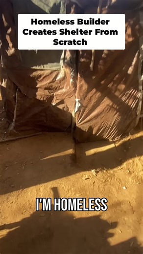 Scar in the Woods: Building a DIY Shelter Journey